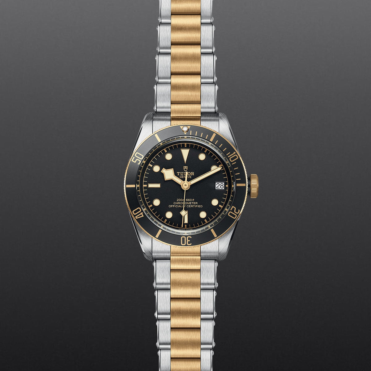 Black Bay S&G - Watches TUDOR