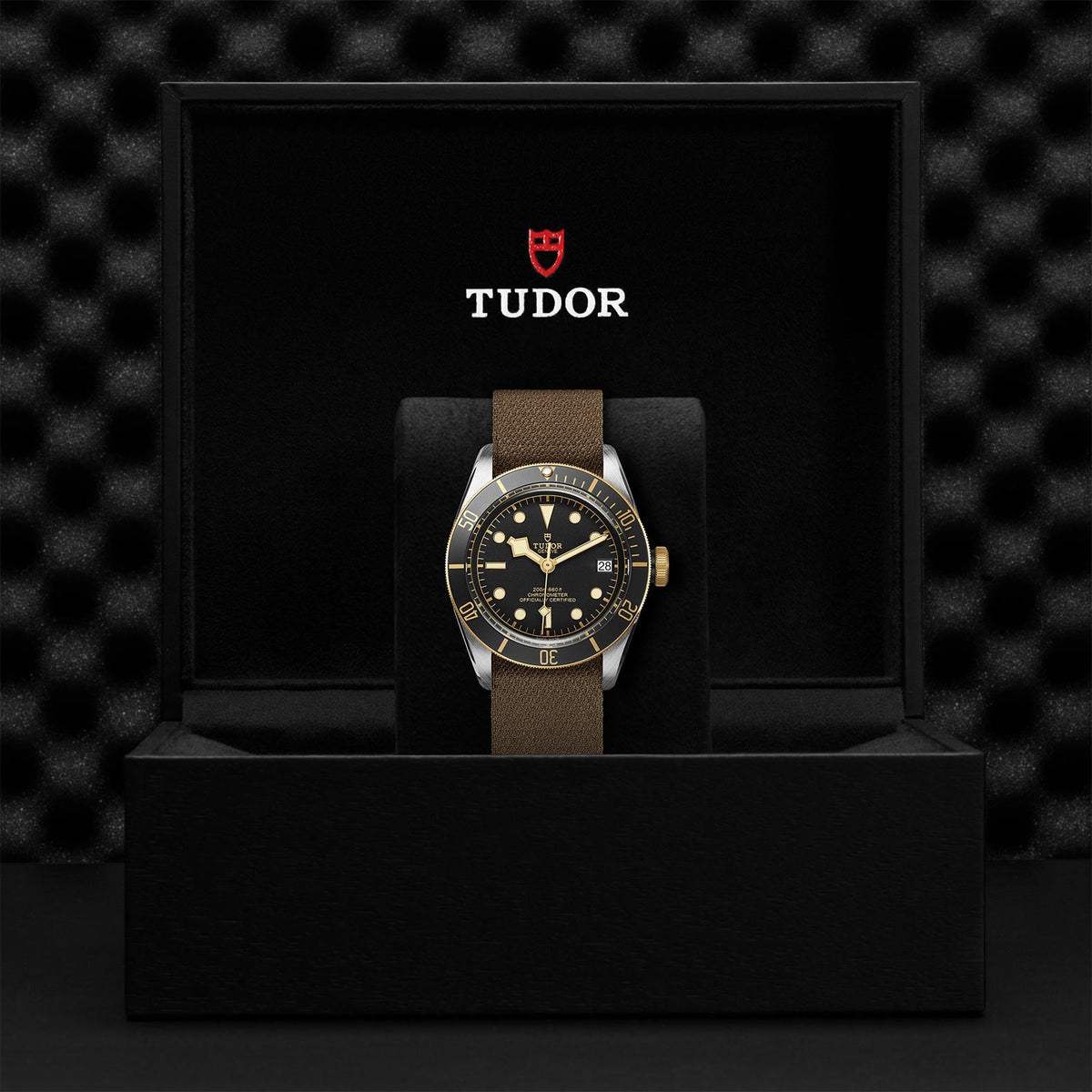 Black Bay S&G - Watches TUDOR