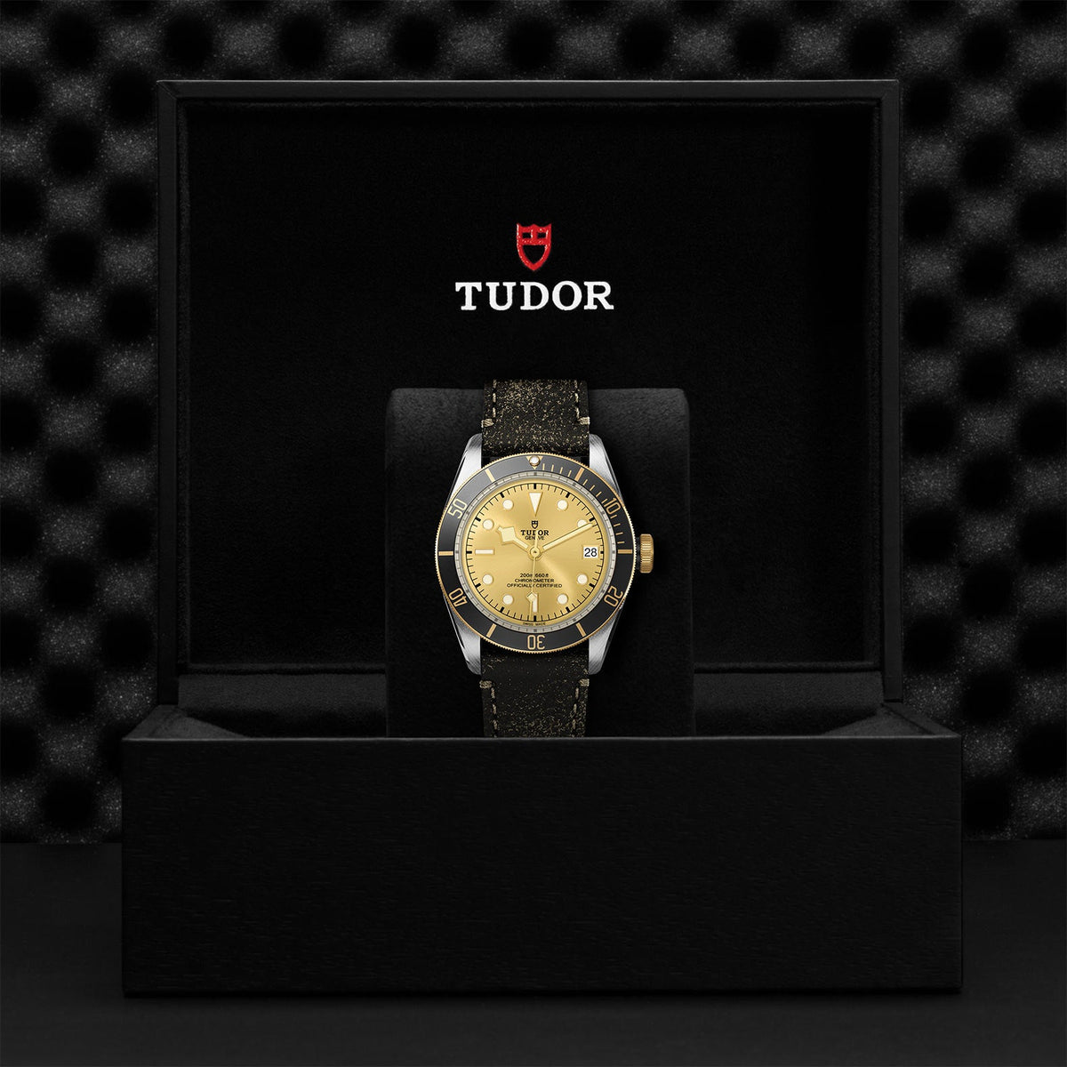 Black Bay S&G - Watches TUDOR