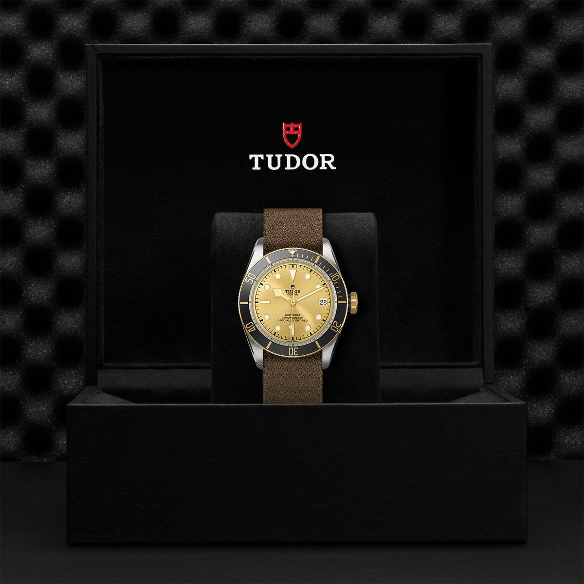 Black Bay S&G - Watches TUDOR