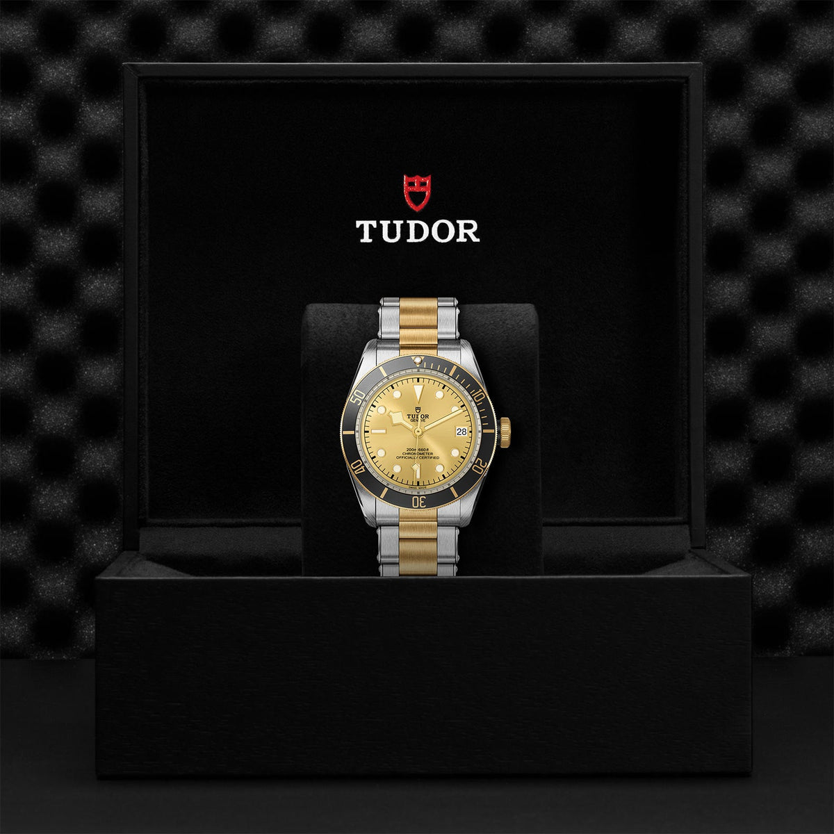 Black Bay S&G - Watches TUDOR