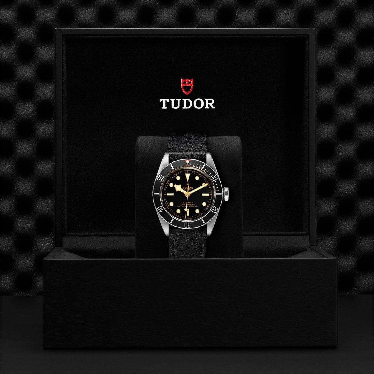 Black Bay - Watches TUDOR