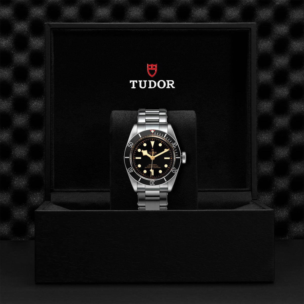 Black Bay - Watches TUDOR