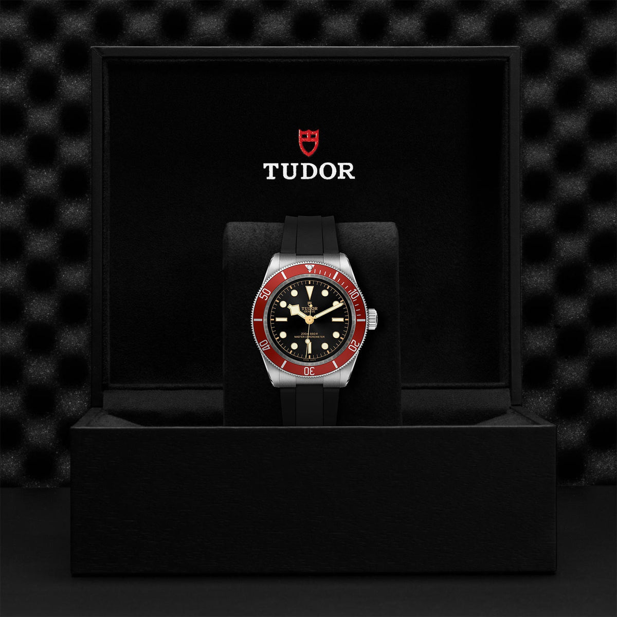 TUDOR Black Bay M7941A1A0RU-0002 – 41mm Steel with Rubber Strap