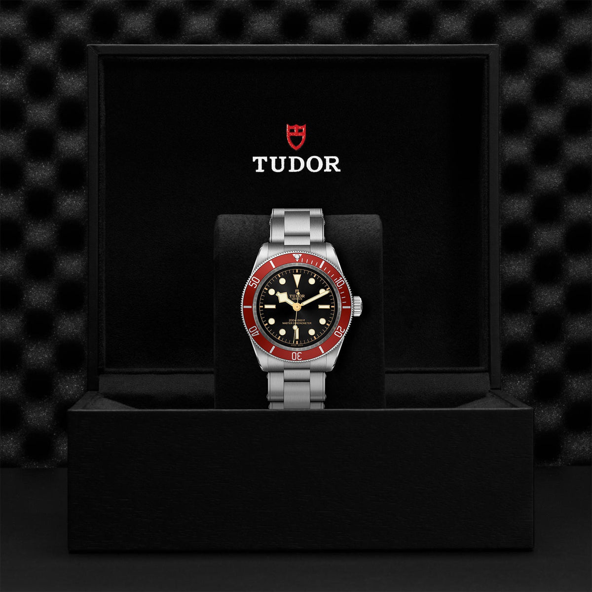 Black Bay - Watches TUDOR