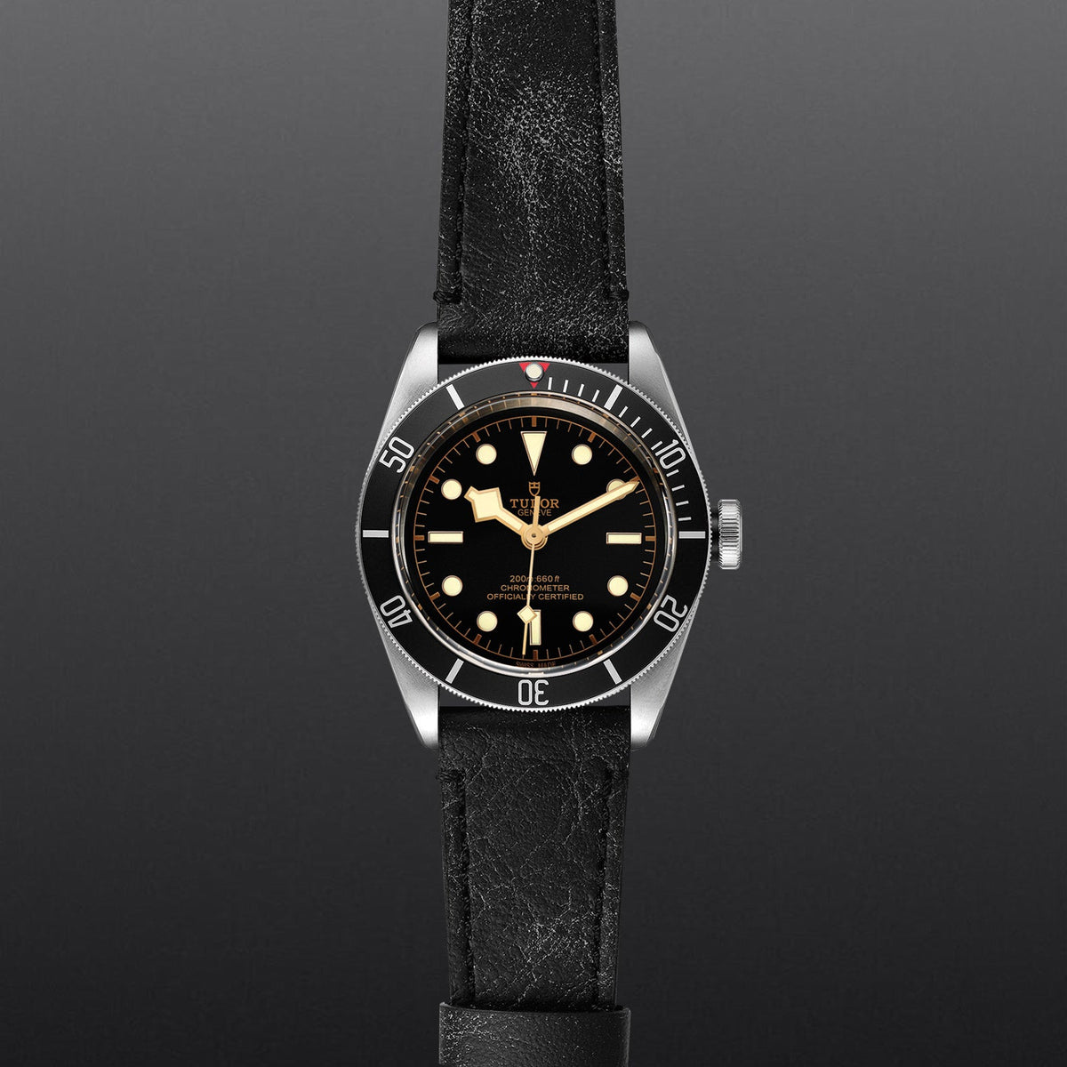 Black Bay - Watches TUDOR