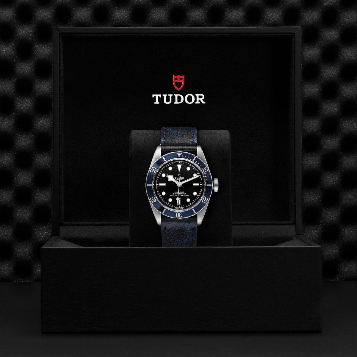 Black Bay - Watches TUDOR