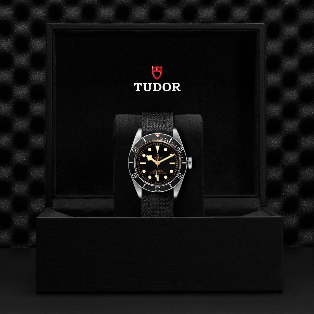 Black Bay - Watches TUDOR