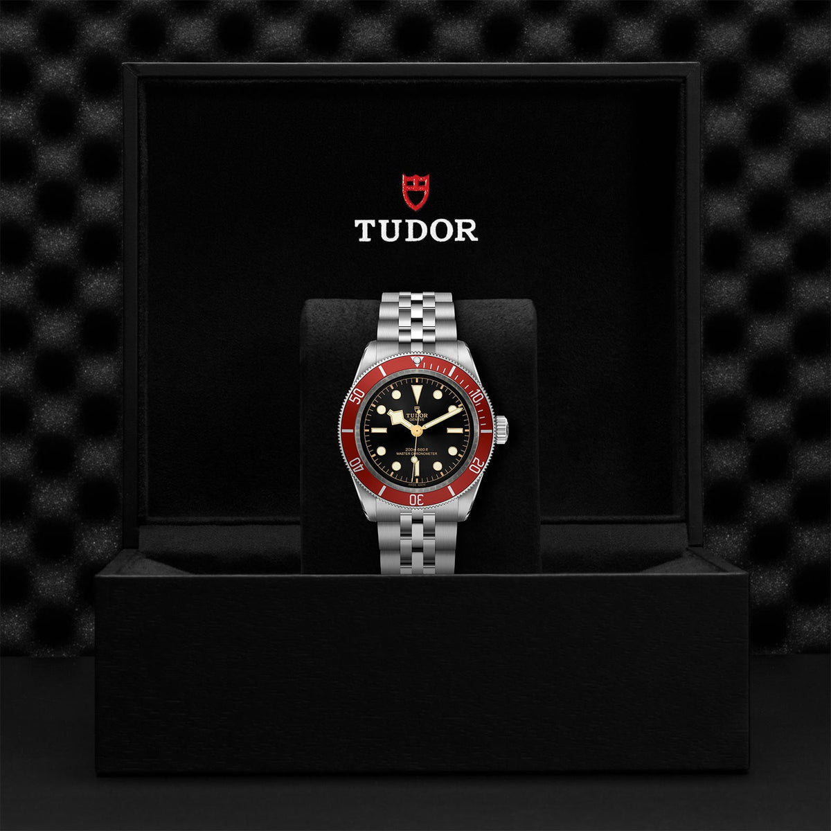 TUDOR Watch Collection | Polacheck's Jewelers