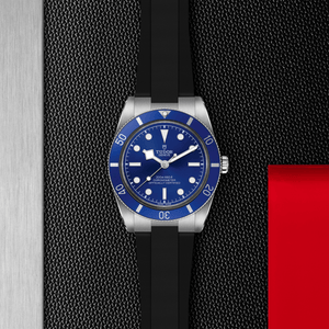 BLACK BAY 54