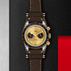 BLACK BAY CHRONO S&G;
