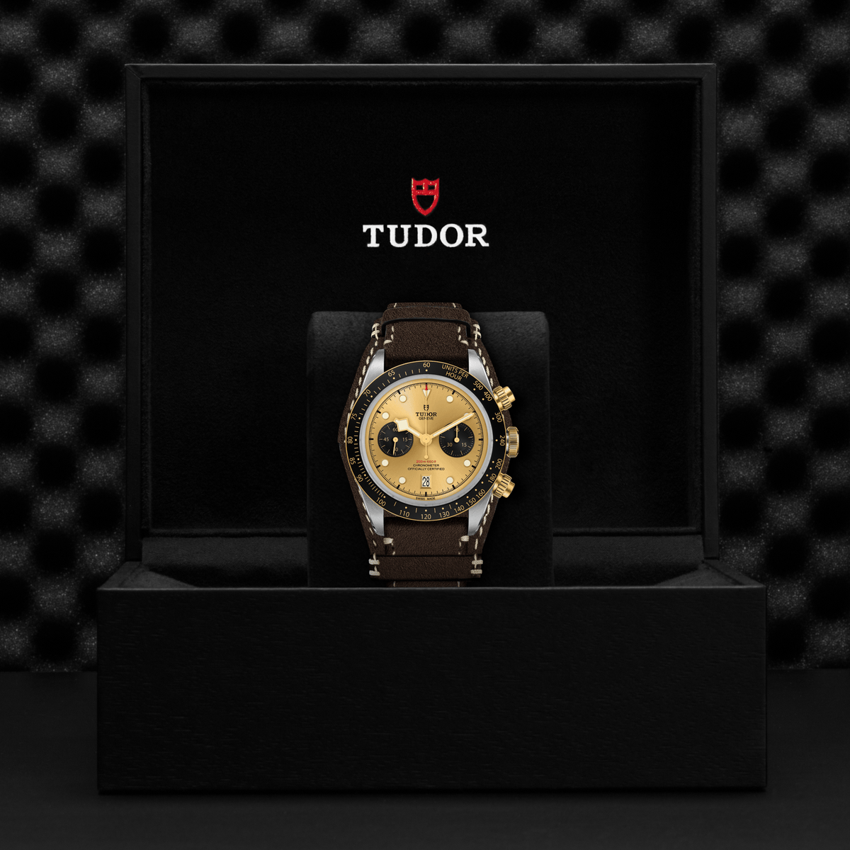 BLACK BAY CHRONO S&G;