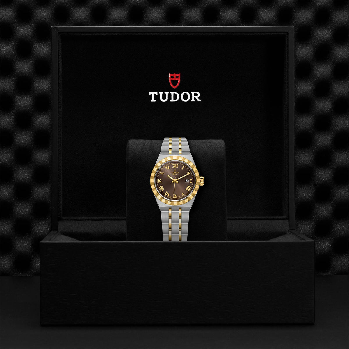 TUDOR Royal - Watches TUDOR